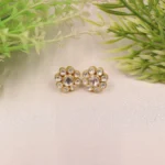 Shreevari Earrings